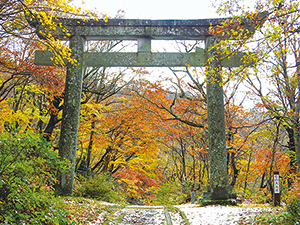 photo of The Torii Archway of the Daisen-michi Road (Yokote-michi Road)