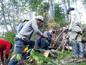 photo of Collaborative Maintenance and Management Activities of Mountain Trails
