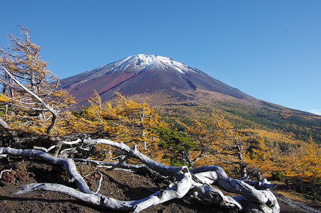富士山「お中道」の写真