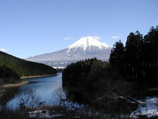 Mt. Fuji Area