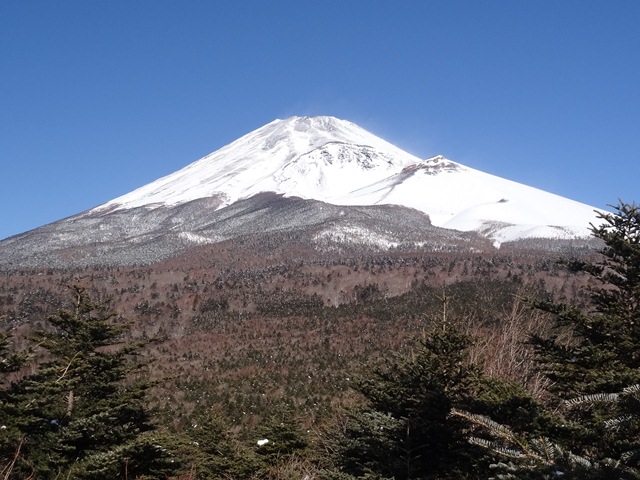 タイトル　水ヶ塚展望台からの富士山