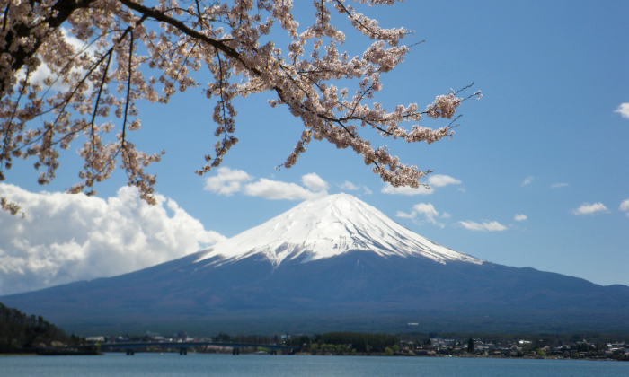 富士箱根伊豆国立公園の写真