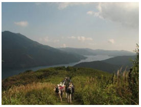 箱根外輪山（黒岳手前[4]）