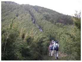 箱根外輪山（黒岳手前[1]）