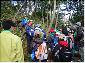 「城ヶ崎海岸の松と自然環境を守る会」