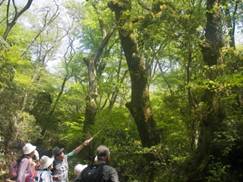 （写真）大涌谷観察会