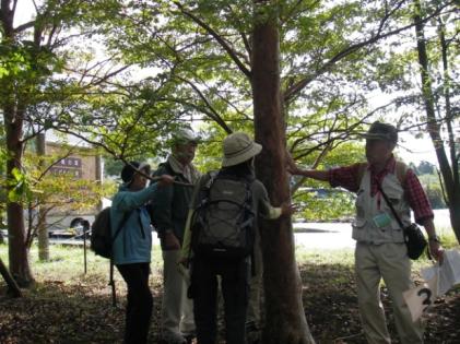 写真：さわってみて!?