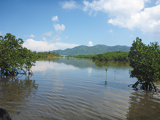 photo of Nagura Amparu (Tidal Flat)