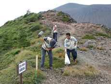 写真：高山域の蝶の保護普及活動[2]
