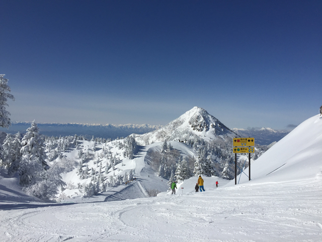 photo of Skiing