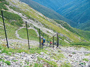 悪沢岳に設置された防鹿柵の写真