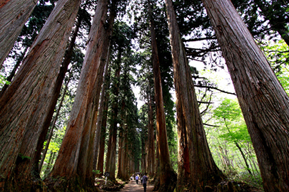 photo 9 of Myoko-Togakushi renzan National Park
