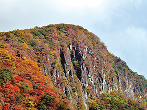 屏風岩の紅葉（山麓部の広葉樹林）の写真