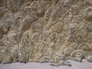 ボニナイトを含む枕状溶岩の写真