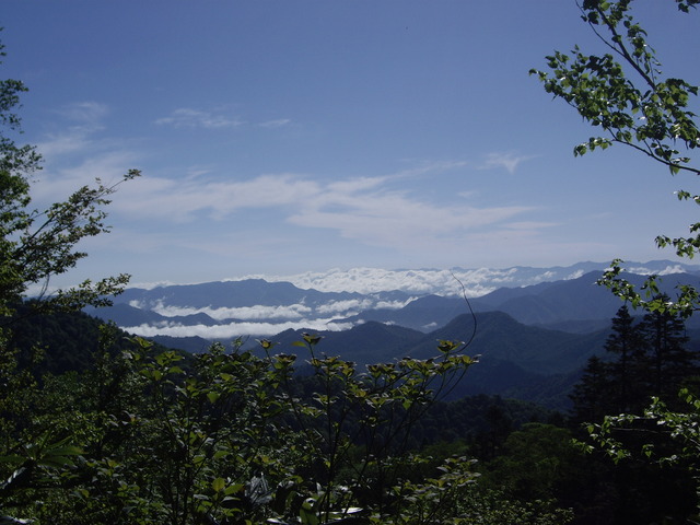 タイトル　登山道から見た雲海