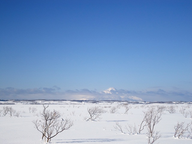 タイトル　真冬のサロベツ原野と利尻山