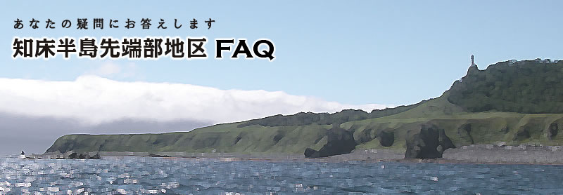 ���Ȃ��̋^��ɂ��������܂� �m��������[���n��FAQ