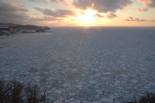 タイトル　プユニ岬から見た流氷