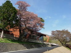 photo of Amihari Visitor Center
