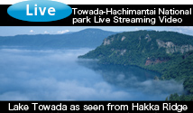 Towada-Hachimantai National park Live Streaming Video