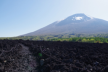 Primitive lava flow expanse and Mt. Iwate
