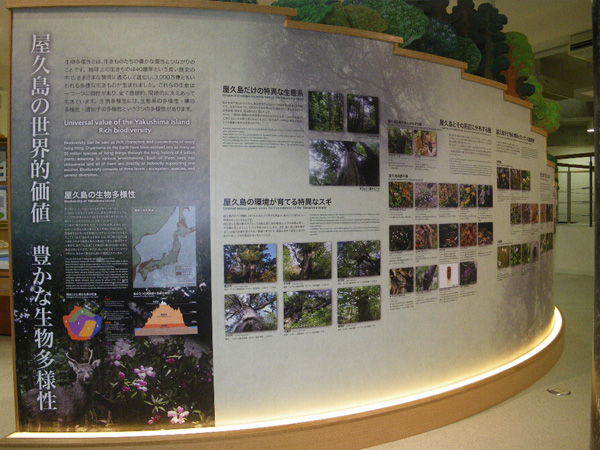 屋久島の植生模型の展示の下部スペースにある展示です。文字と写真で紹介しています。
