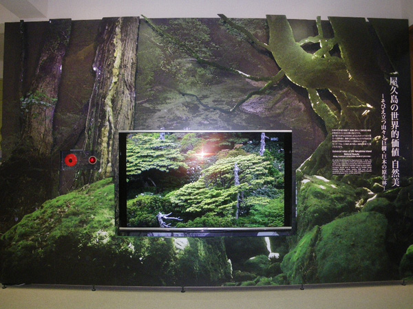屋久島の植生模型の展示の下部スペースにある展示です。文字と映像で紹介しています。