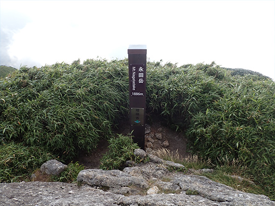 永田岳山頂の写真。永田岳と書かれた小さな標柱が立っています。