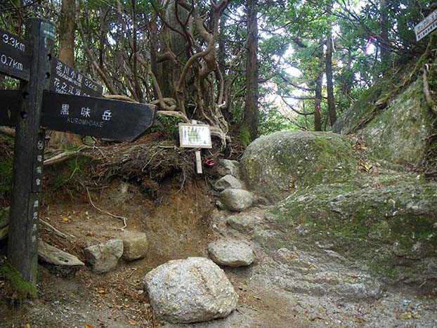 黒味岳分かれの写真。宮之浦岳への登山道から黒味岳へ向かう登山道の分岐点で、方向を示した標識が写っています。