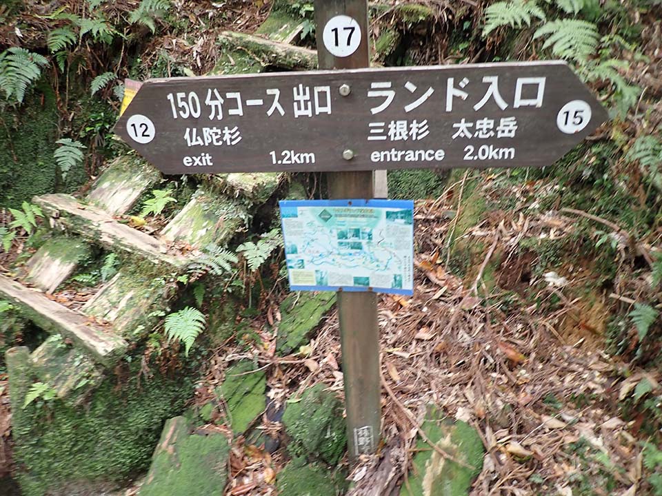 分岐H_(17)の写真。150分コース　出口　仏陀杉、ランド入口　三根杉、太忠岳の表示がある標識が写っています。
