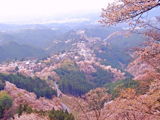 吉野山の写真