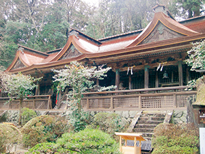 木々に取り囲まれる社殿（水分神社）の写真