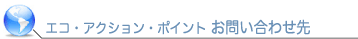 �G�R�E�A�N�V�����E�|�C���g�̂��₢���킹��