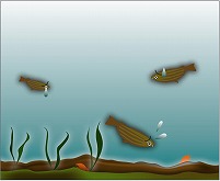 Environmental Improvement in Lakes and Seas: Enclosed Coastal Seas image01