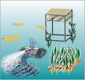 Environmental Improvement in Lakes and Seas: Enclosed Coastal Seas image02