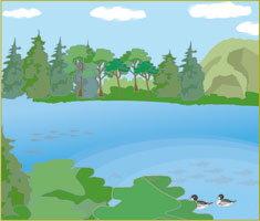 Environmental Improvement in Lakes and Seas: Lakes and Reservoirs image03