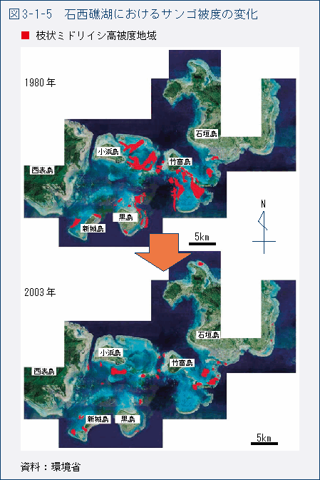 図3-1-5　石西礁湖におけるサンゴ被度の変化