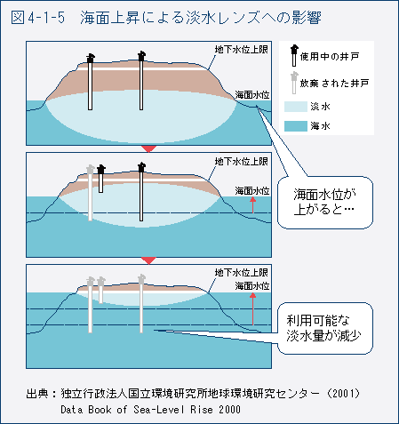 図4-1-5　海面上昇による淡水レンズへの影響