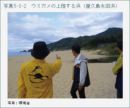 写真5_3_2 ウミガメの上陸する浜（屋久島永田浜）