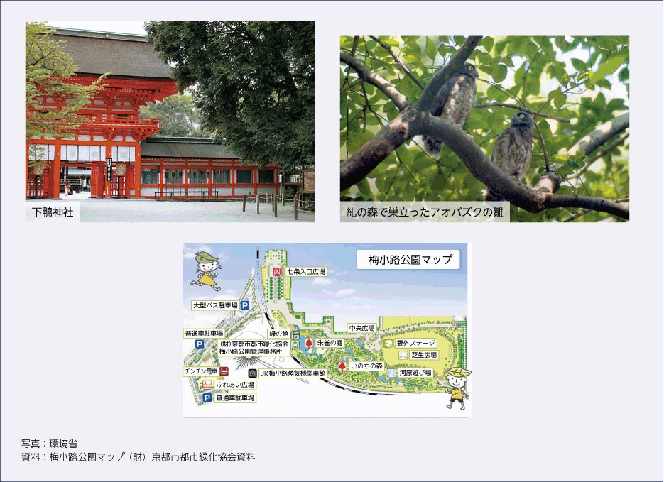 コラム 都市緑地における生物多様性の管理における知恵（京都）の図