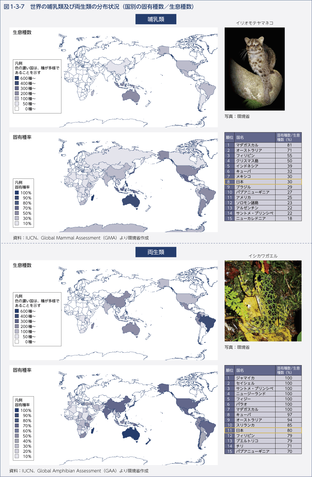 図1-3-7　世界の哺乳類及び両生類の分布状況（国別の固有種数／生息種数）