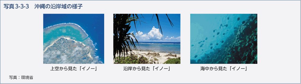 写真3-3-3　沖縄の沿岸域の様子