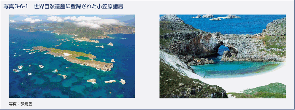 写真3-6-1　世界自然遺産に登録された小笠原諸島