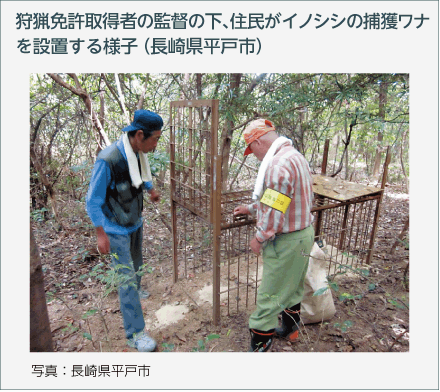狩猟免許取得者の監督の下、住民がイノシシの捕獲ワナを設置する様子（長崎県平戸市）