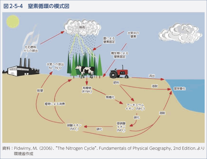 図2-5-4　窒素循環の模式図