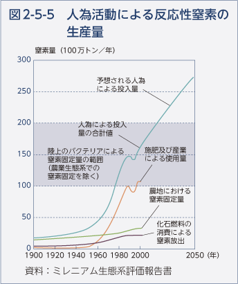 図2-5-5　人為活動による反応性窒素の生産量