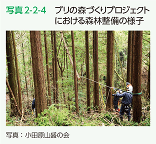 写真2-2-4　ブリの森づくりプロジェクトにおける森林整備の様子
