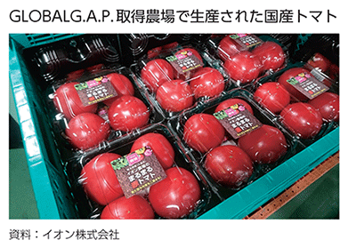 GLOBALG.A.P.取得農場で生産された国産トマト