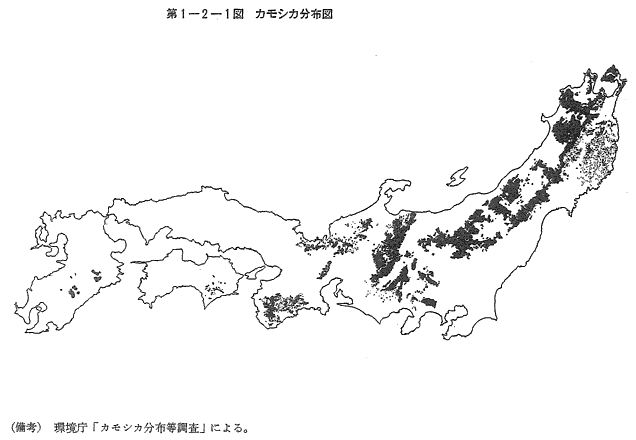 北海道でヤマビルを見た