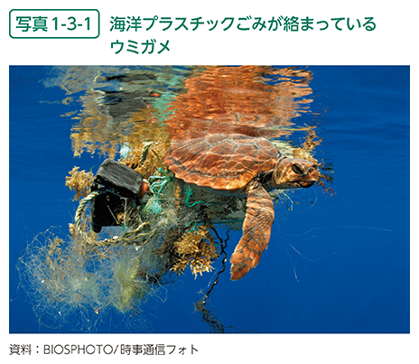 写真1-3-1　海洋プラスチックごみが絡まっているウミガメ